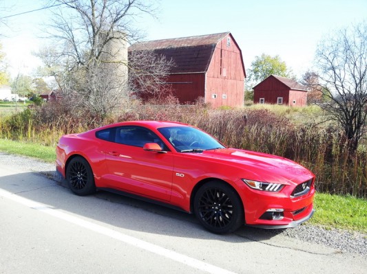 2015 Ford Mustang GT - Shaun Keenan 2014